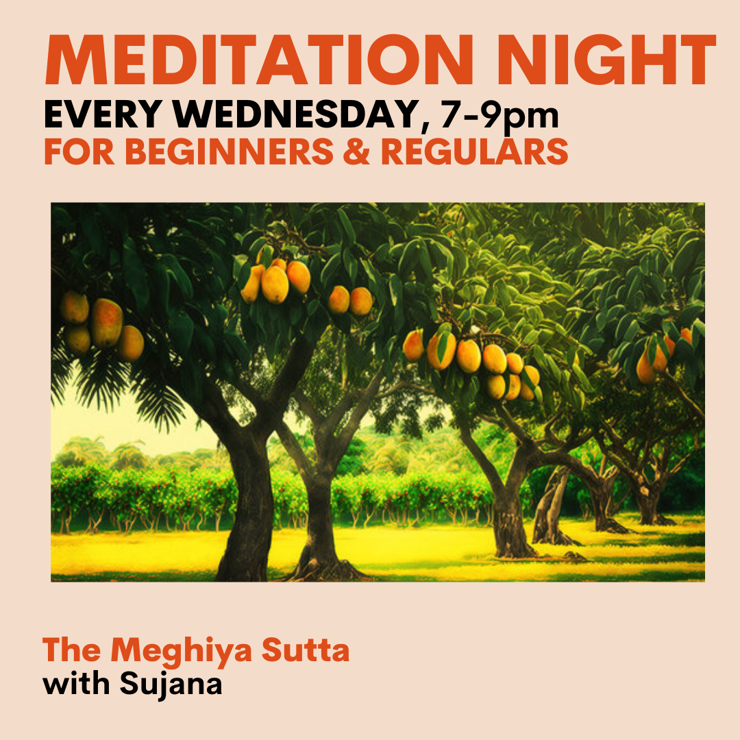 meditation