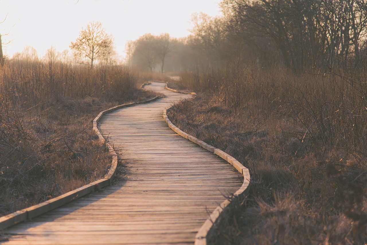 The Journey and The Guide