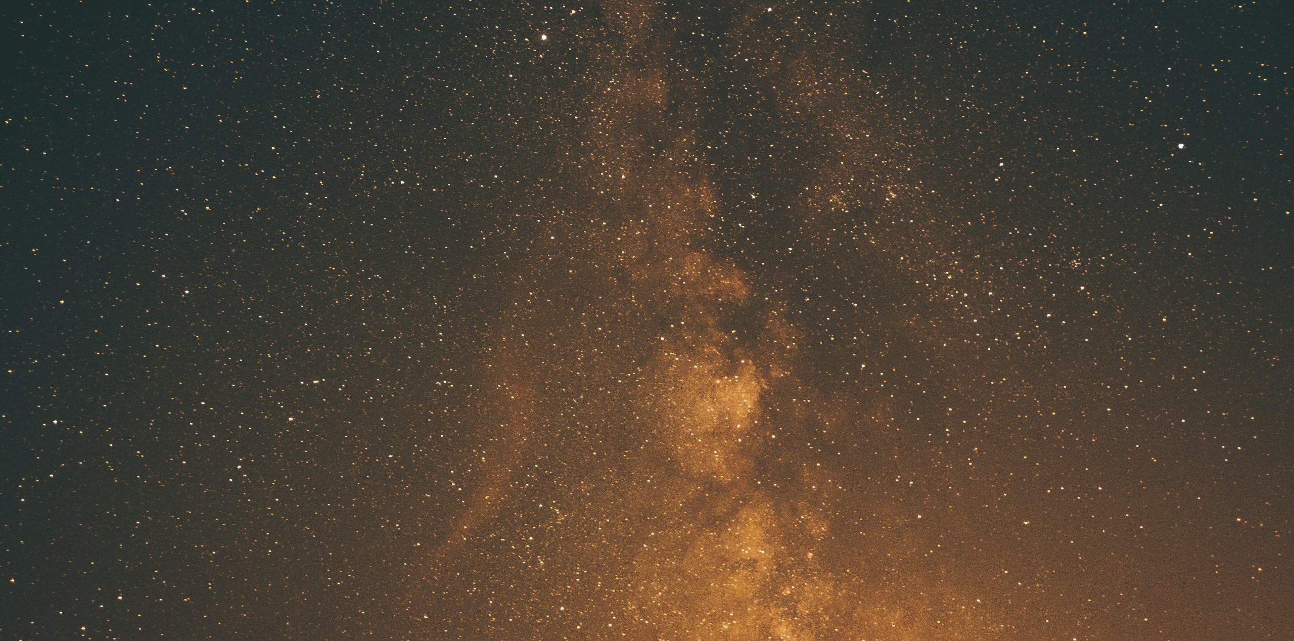 The Dhammapada: Words of Gold, Words of Fire