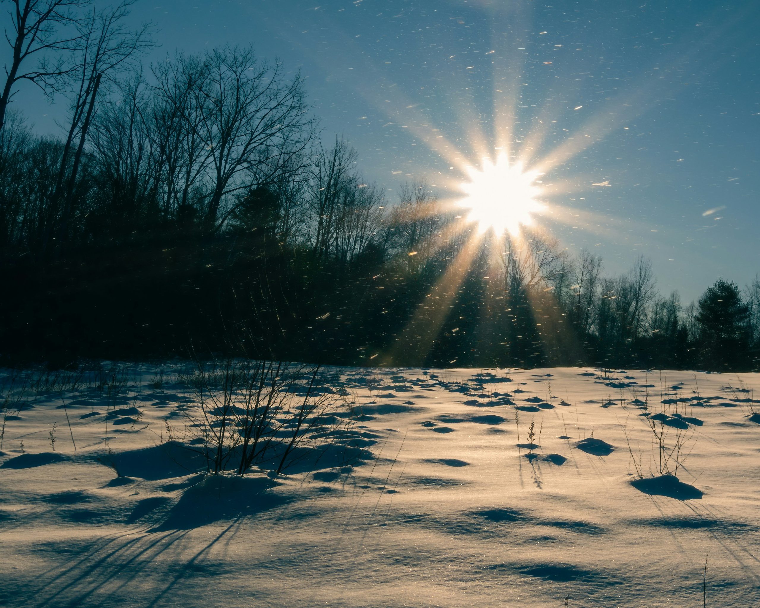 Women's Mitra Morning