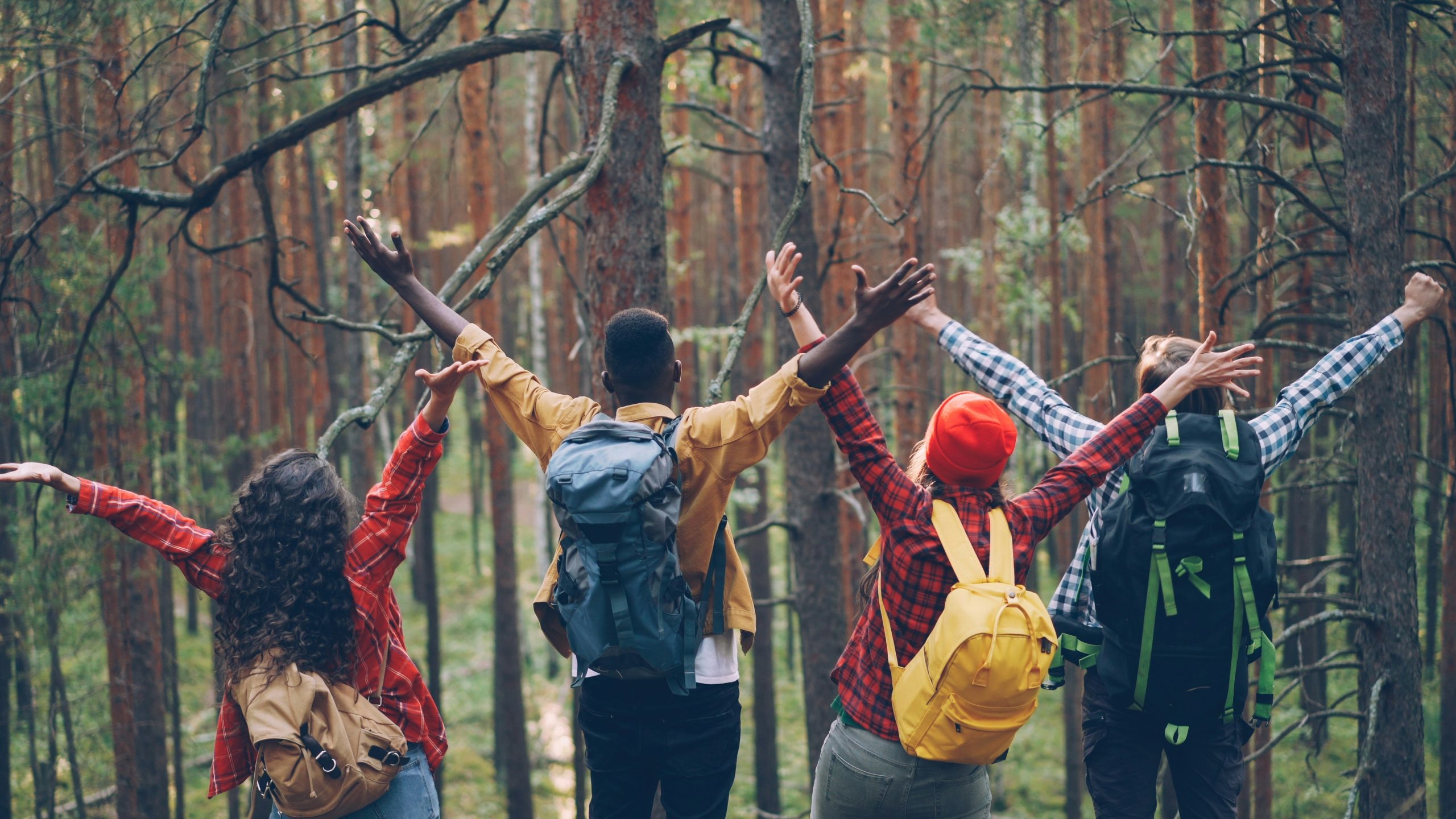 New Year Explore: Getting Involved at the NBC